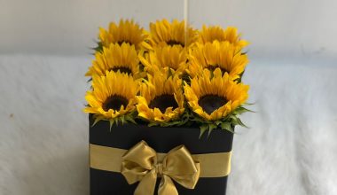 caja baul con girasoles y fresas