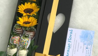 arreglo caja 3 girasoles y 8 fresas