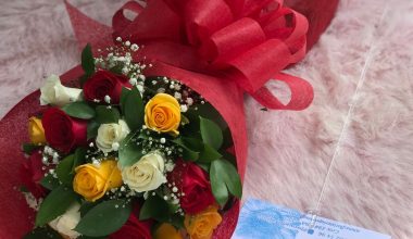 Ramillete redondo rosas surtidas