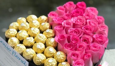 corazon mitad rosas mitad ferreros