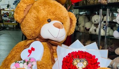 Peluche grande con rosas